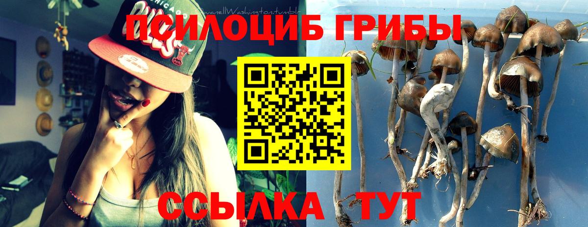 Галлюциногенные грибы Magic Shrooms Заволжье